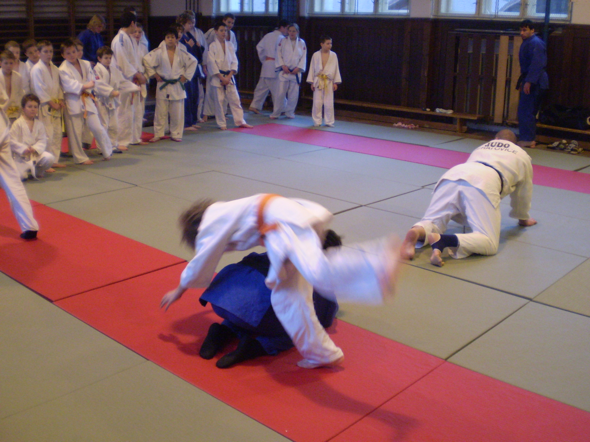 P2280468[2].JPG