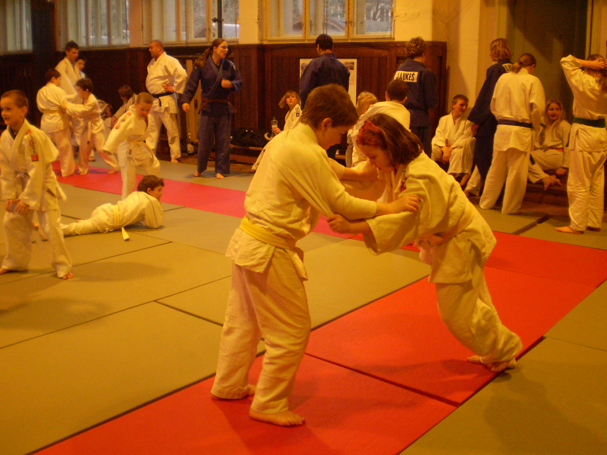 P2280604[2].JPG